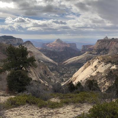 West Rim Trail Zion NP